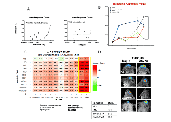 GBMSummit26_poster-thumbnail
