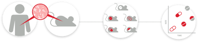 Icon_establishment-mouse-to-drug-efficacy-chart-process-2