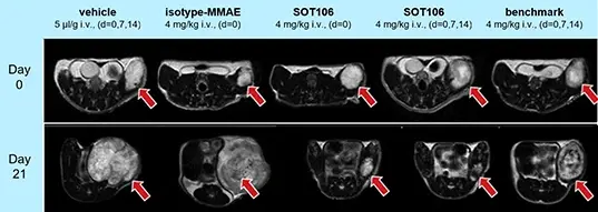 Certis_MRI-data-sotio